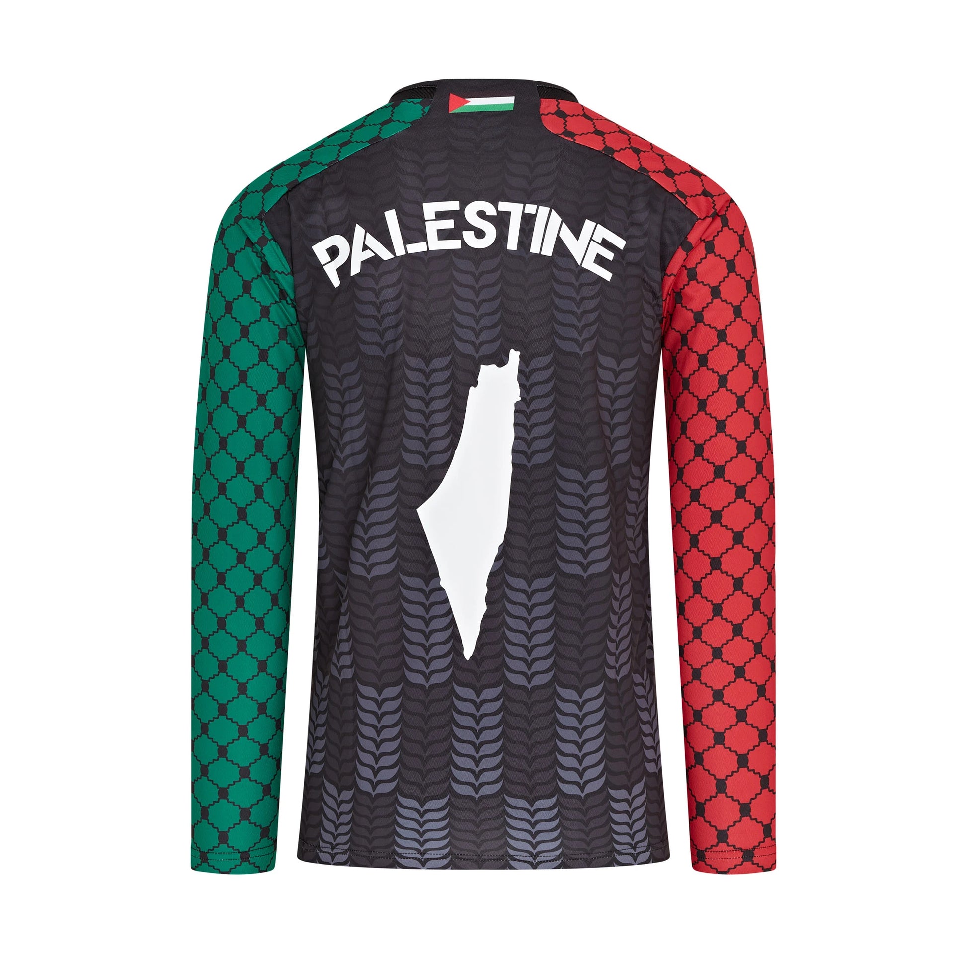 Back of Palestine t-shirt with Palestinian flag and map graphic — statement shirt for justice