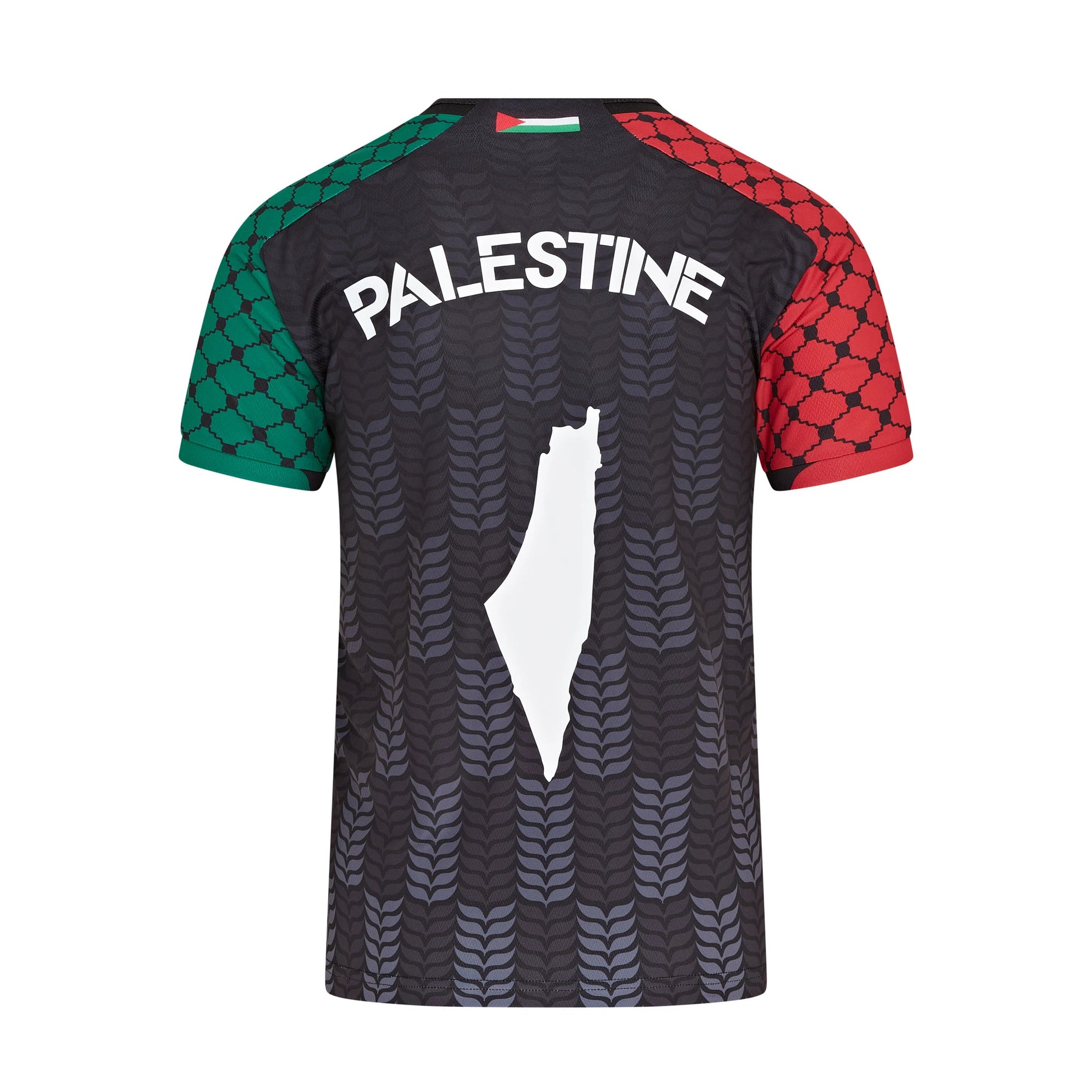 Back of Palestine t-shirt with map design and flag — Palestinian identity shirt with statement graphic