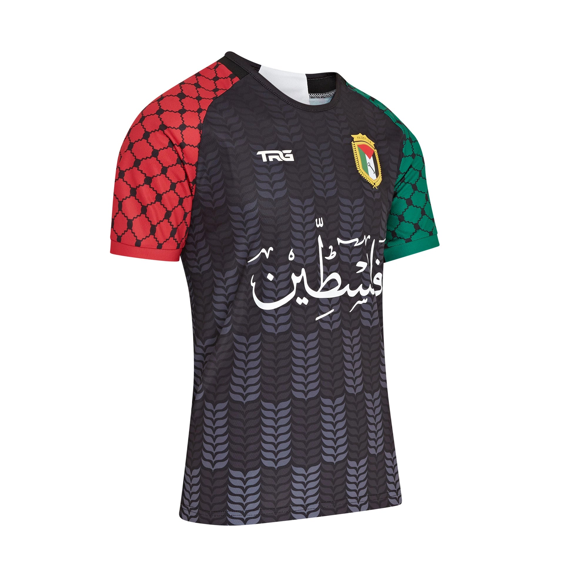 Side view of Palestinian t-shirt — keffiyeh design sleeves, Arabic Palestine text, resistance clothing